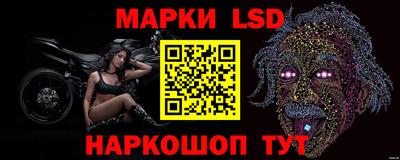 стафф Владимир